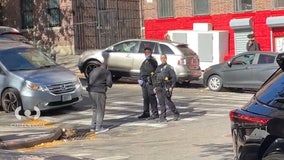 11-year-old boy shot in leg in the Bronx: NYPD