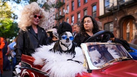 Halloween Dog Parade in Tompkins Square: 2024's best canine costumes