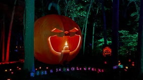 Ultimate guide to fall on Long Island: Jack o'lanterns, festivals, and more