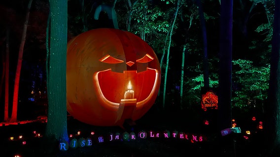 Ultimate guide to fall on Long Island: Jack o'lanterns, festivals, and more