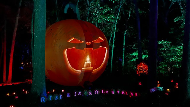 Ultimate guide to fall on Long Island: Jack o'lanterns, festivals, and more