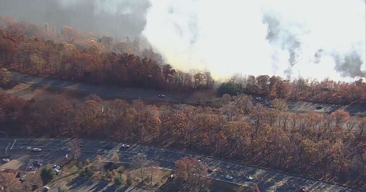 NJ brush fire along Palisades Interstate Parkway sends smoke into NYC ...