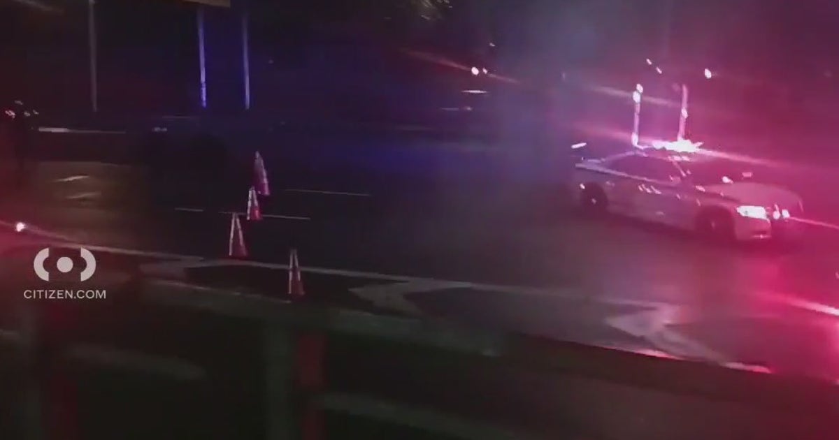 Woman killed after jumping from car on Long Island Expressway | FOX 5 ...