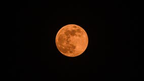 Beaver Moon, the last supermoon of 2024, illuminates NYC skies tonight