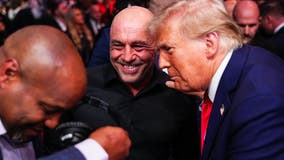 Trump attends UFC 309 at MSG alongside his cabinet picks, celebs