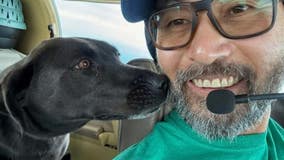 Father dies in NY plane crash while transporting rescue dogs