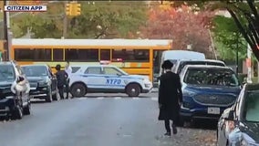 1-year-old struck, critically injured by truck in Brooklyn: NYPD