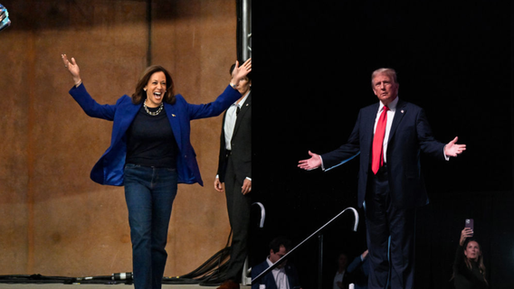 Here's how Americans feel about the 2024 election: poll