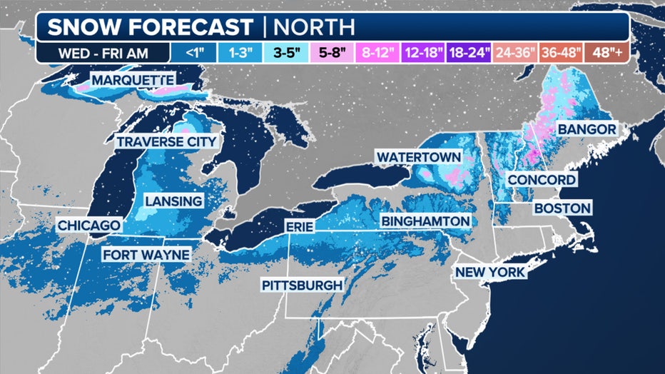 This graphic shows the forecast snow totals in the Northeast.(FOX Weather)