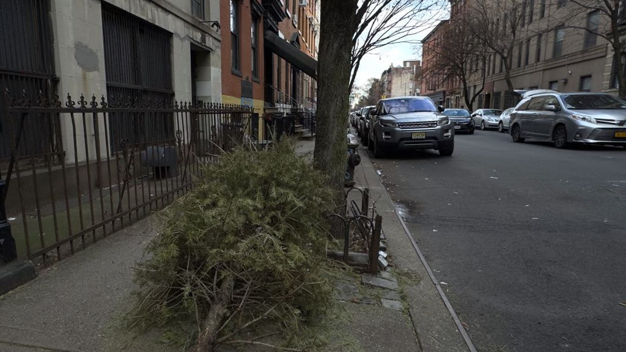 NYC's Christmas Tree Disposal: Now Year-Round!