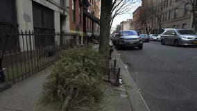 Christmas tree collection now available year-round in NYC