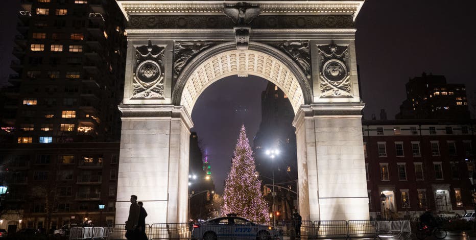 Picture-worthy Christmas trees to see in NYC