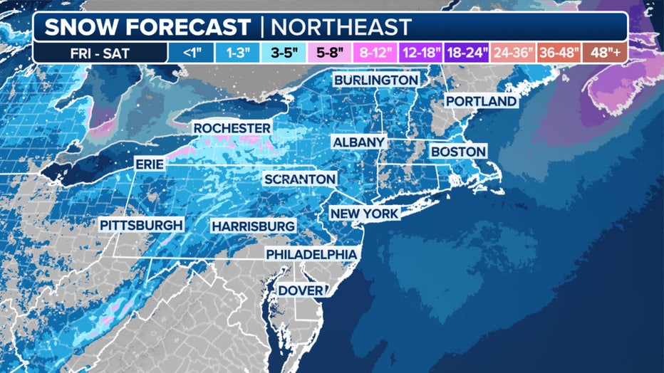 Forecast snow totals for the Northeast. (FOX Weather)