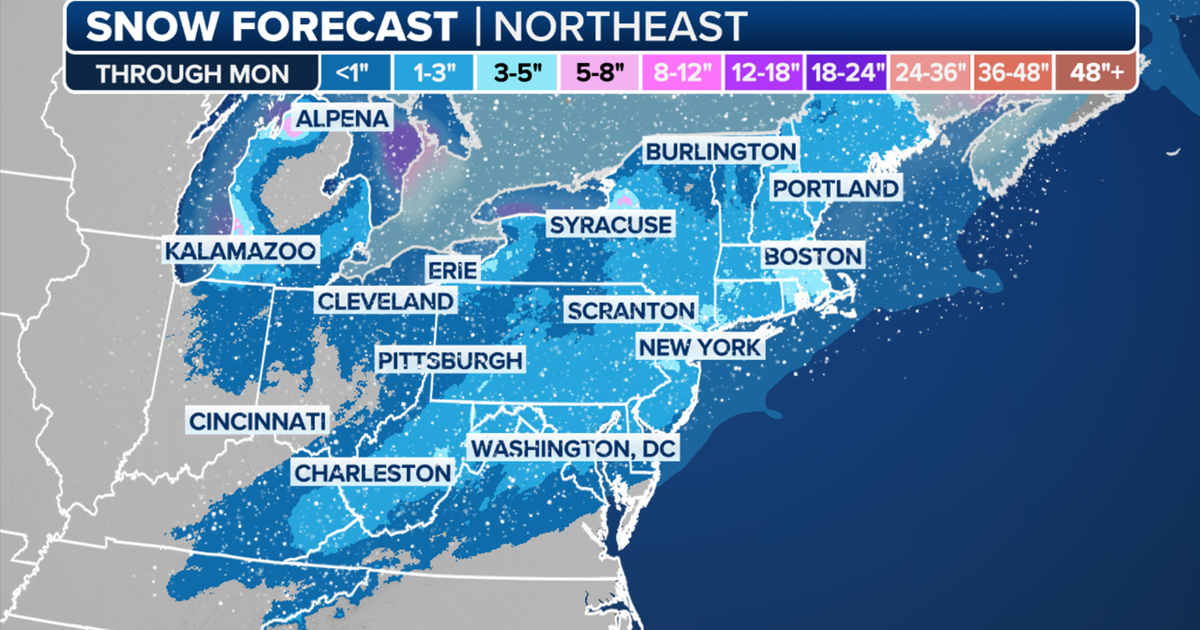 How much snow is NYC getting on Sunday? Forecast | FOX 5 New York