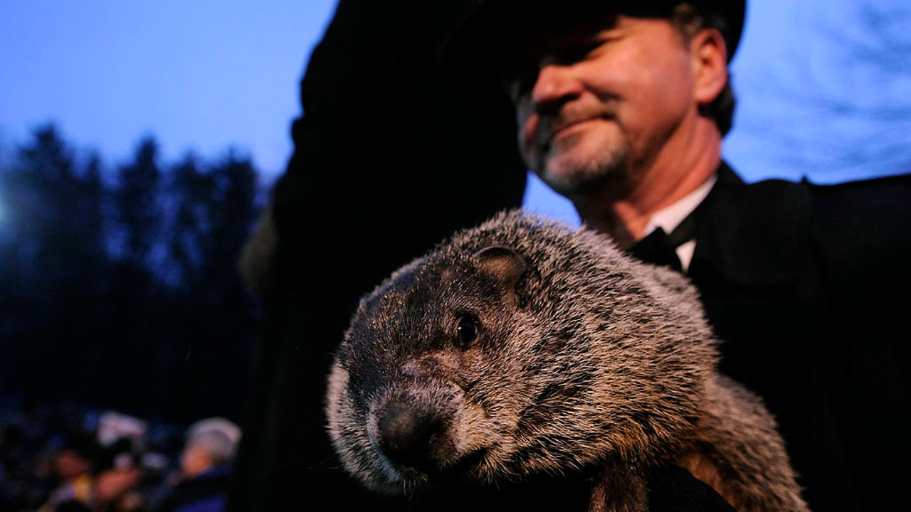 groundhog day saw his shadow