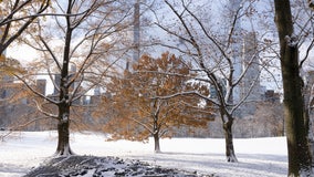 Snow forecast: Winter storm could slam NYC on Monday