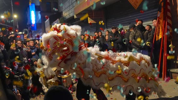 NYC 2025 Lunar New Year Guide: Things to do, traditions and superstitions
