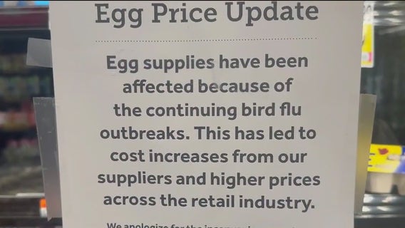 Egg prices soar as bird flu outbreak worsens