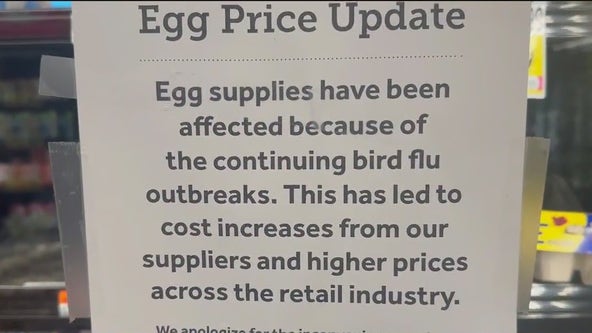 Egg prices soar as bird flu outbreak worsens