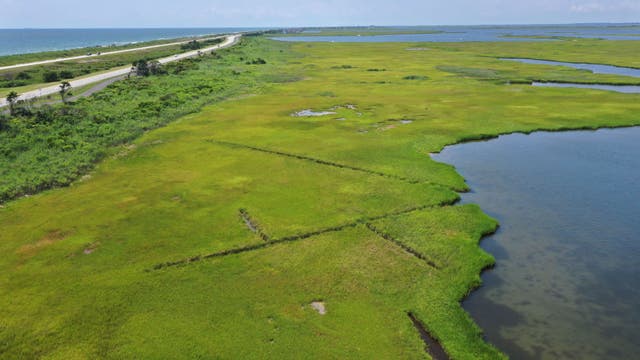 Former NYPD officer found in frigid waters off Gilgo Beach