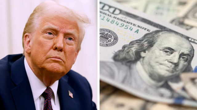 Federal judge temporarily blocks Trump's funding freeze: explained