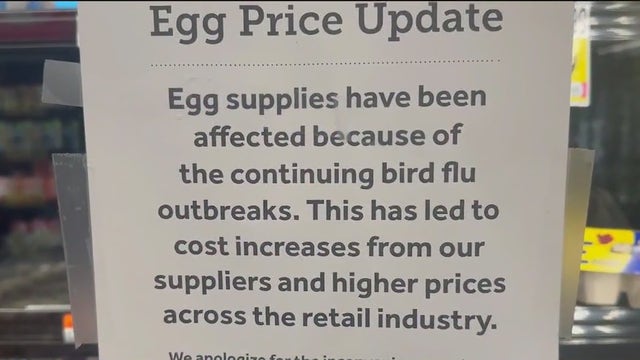 Egg prices soar as bird flu outbreak worsens