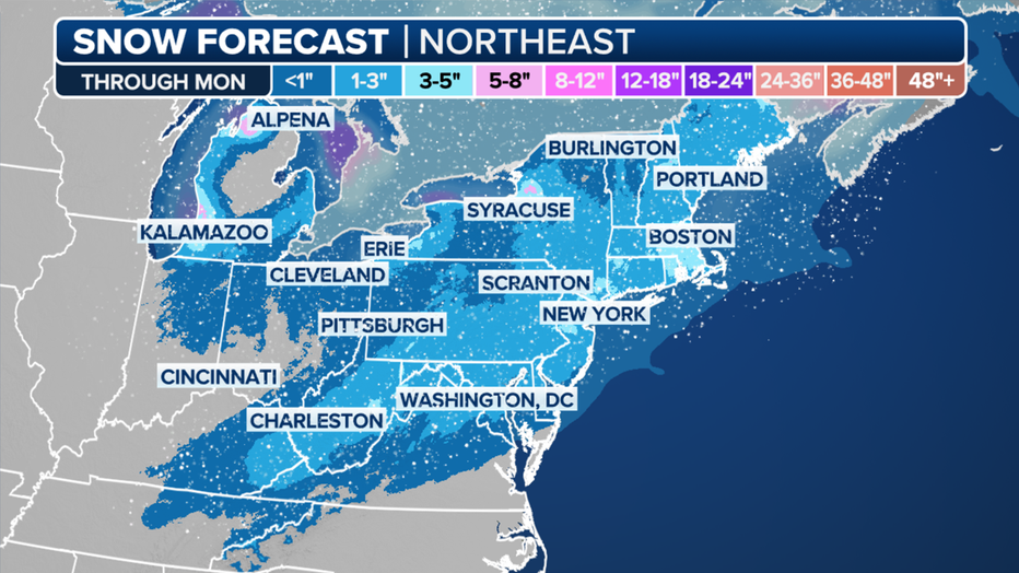 Expected snow for the Northeast.(FOX Weather)