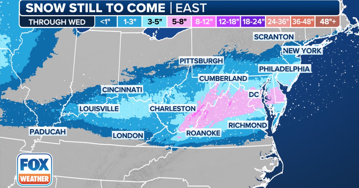 Snowstorm hits NYC area: Projected totals and what's next | FOX 5 New York
