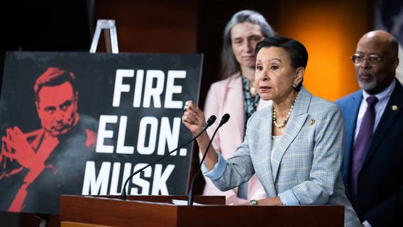 New York, New Jersey, Connecticut among 13 states planning to sue Musk's DOGE