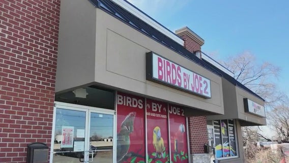 Woman shot in face with crossbow at NJ pet store; suspect on the loose