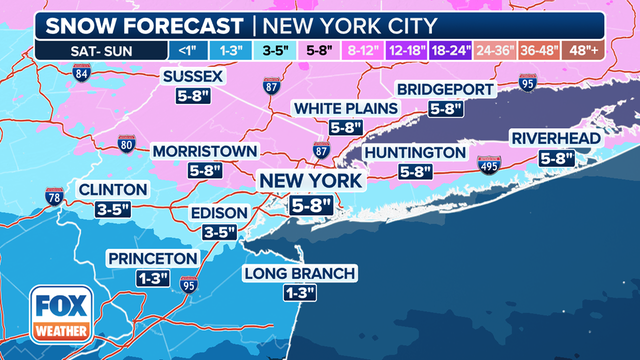 Snow storm forecast: Timeline, how many inches NY, NJ, CT can expect