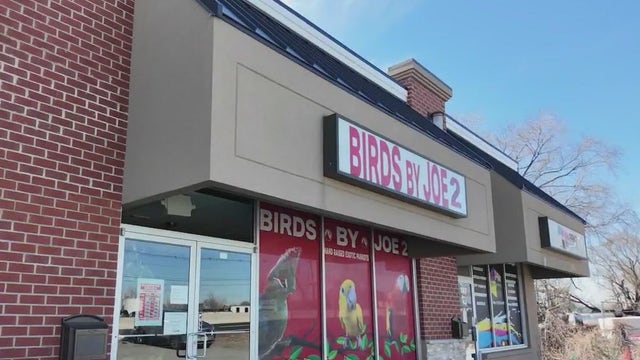 Woman shot in face with crossbow at NJ pet store; suspect on the loose