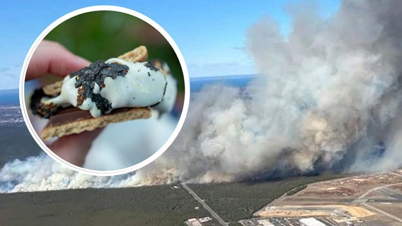 Failed s'mores-making attempt likely sparked Long Island fires
