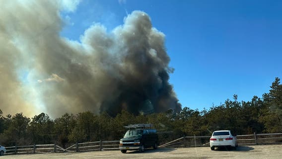 Brush fires rips through parts of Long Island; 1 firefighter injured