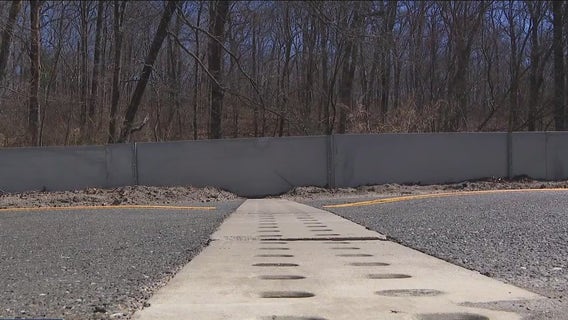 Long Island town builds tunnel to save frogs and wildlife from road traffic