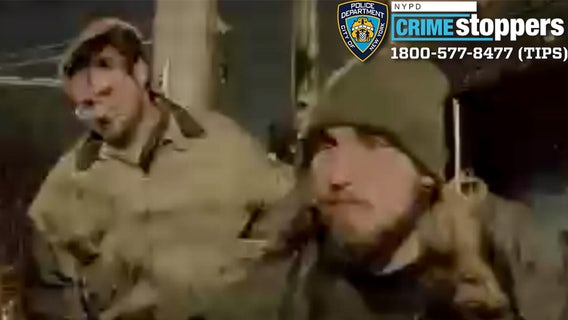 NYPD searching for vandals who carved swastika on Tesla in Brooklyn