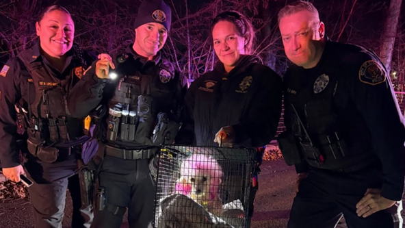 New Jersey police rescue pink poodle after dramatic swim in Passaic River