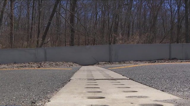 Long Island town builds tunnel to save frogs and wildlife from road traffic