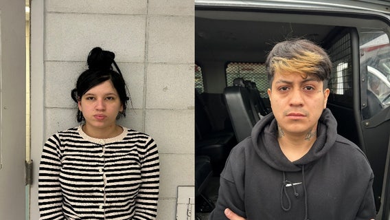 ICE arrests over 200 undocumented immigrants in NYC area: 'Egregious criminal histories'