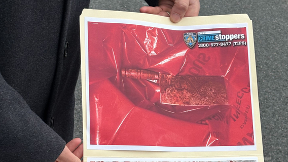 Police shoot man accused of slashing multiple children inside Brooklyn home