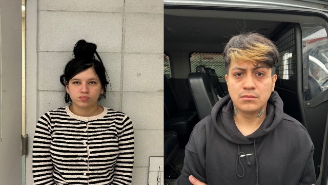 ICE arrests over 200 undocumented immigrants in NYC area: 'Egregious criminal histories'