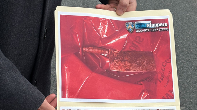 Police shoot man accused of slashing multiple children inside Brooklyn home