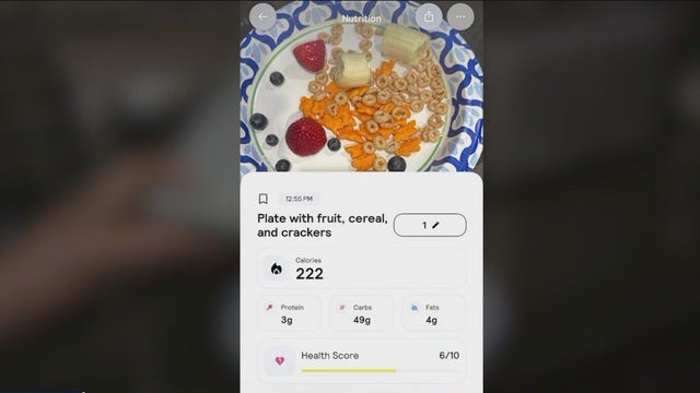 Long Island teen’s AI food app rakes in millions, X post goes viral after Ivy League snubs