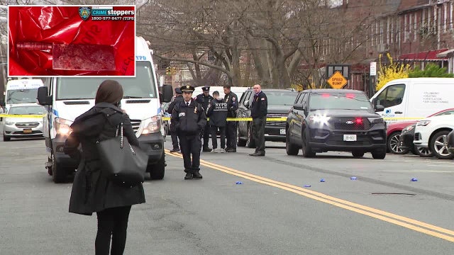 4 children stabbed in Brooklyn home; cleaver-wielding suspect shot by police
