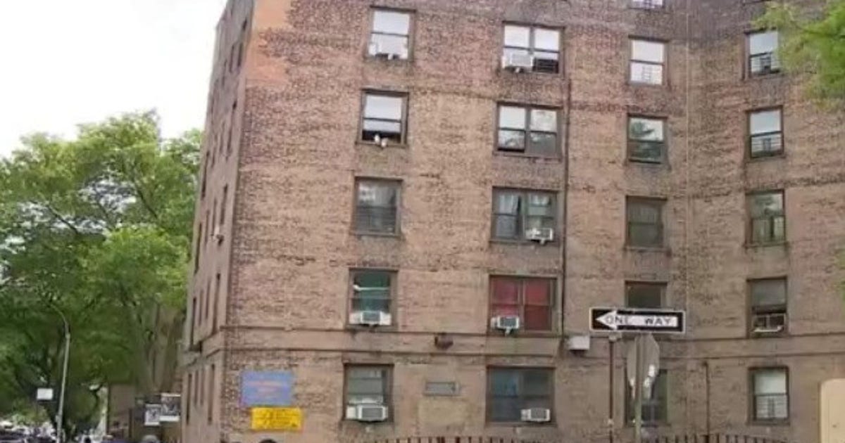 Baby girl mauled to death by dog in Queens, police say | FOX 5 New York