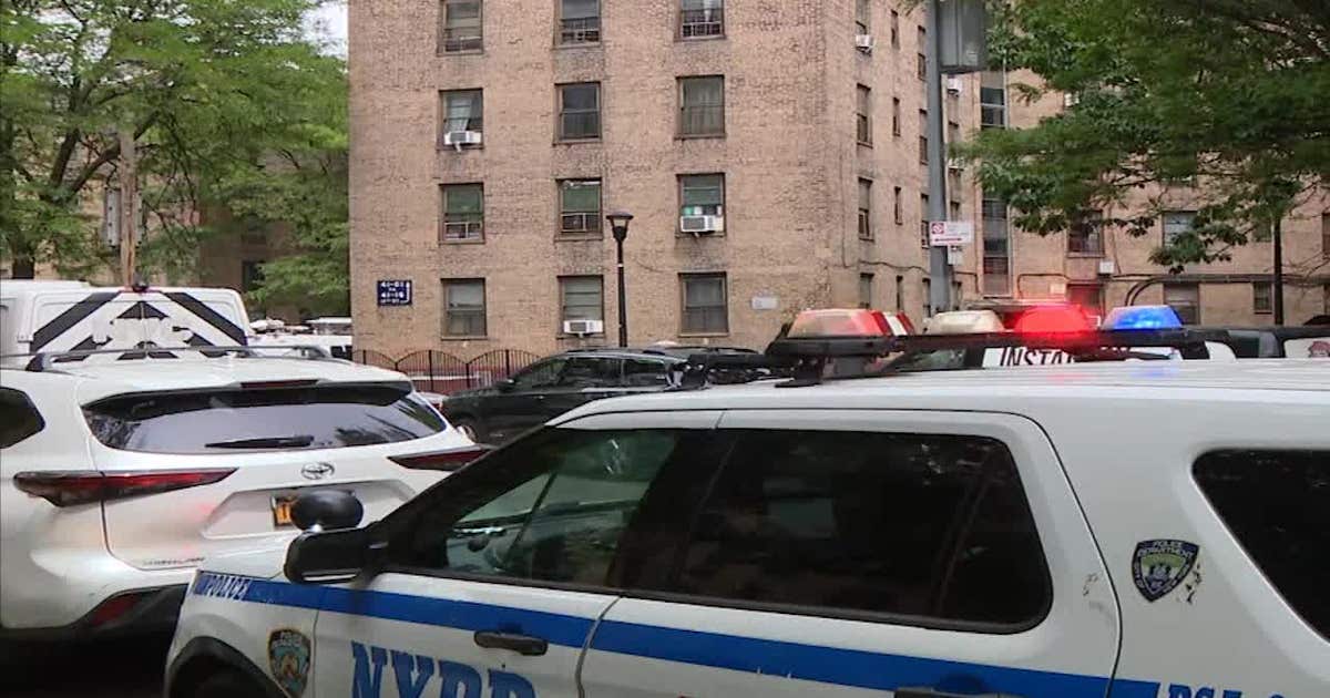 NYC infant killed after family dog reportedly mauled her to death | FOX ...