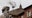 How to watch the Vatican live during papal conclave: 24/7 cam