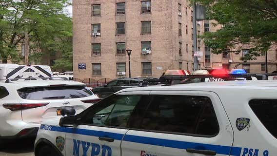 NYC one-month-old girl mauled to death by dog; breed unconfirmed amid reports