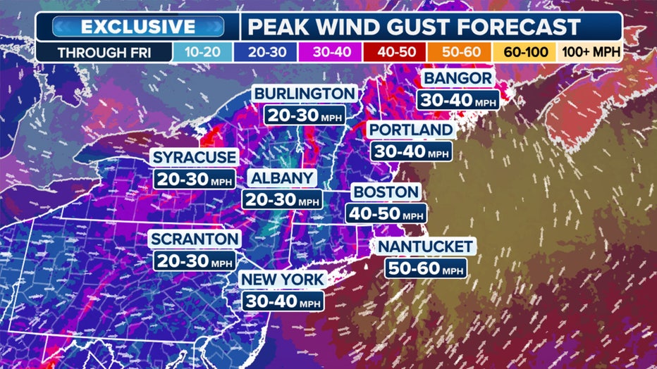 This graphic shows forecast wind gusts. (FOX Weather)