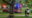 Teen struck by lightning in Central Park during severe storm